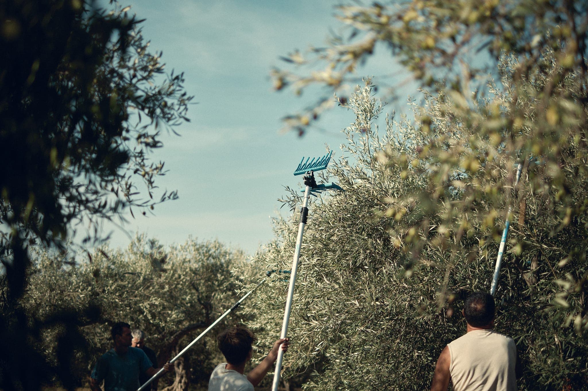 Olivieri in action - @finestfiasco