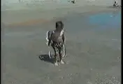 Making waves